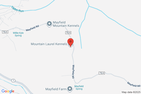 Mountain Laurel Kennels