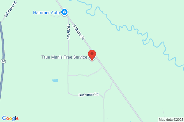 True Man's Tree Service