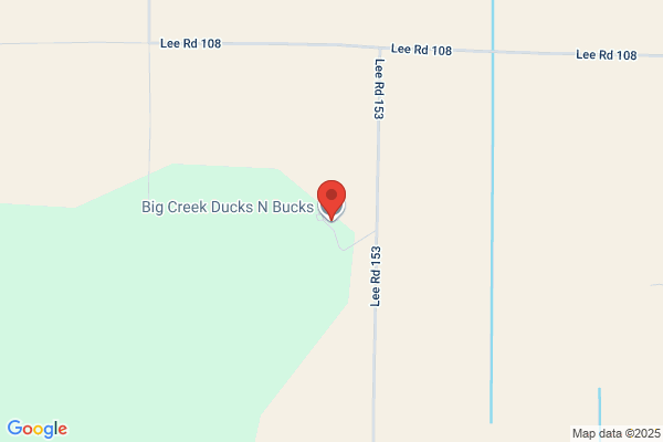 Big Creek Ducks