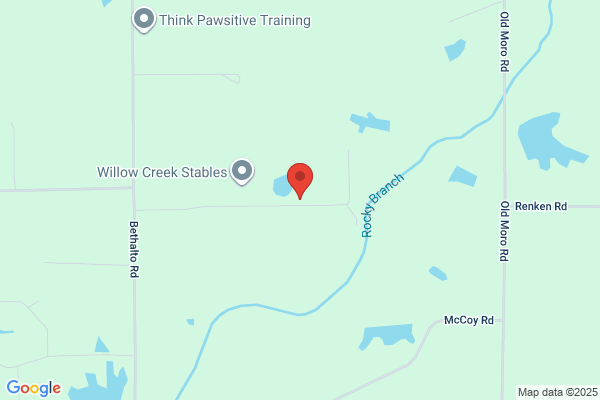 Rocky Branch Stables & Riding Academy