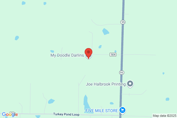 My Doodle Darlins