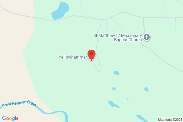 Yellowhammer Inc