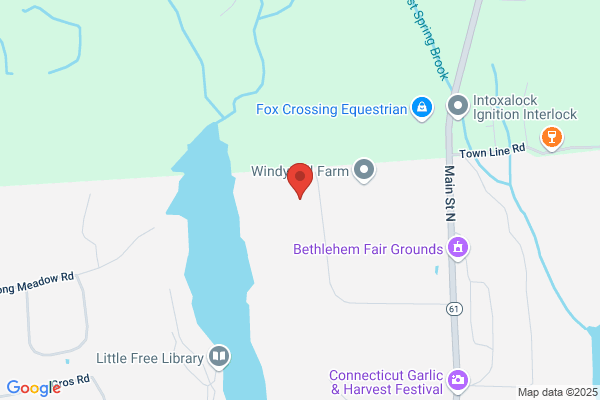 Arc Electric