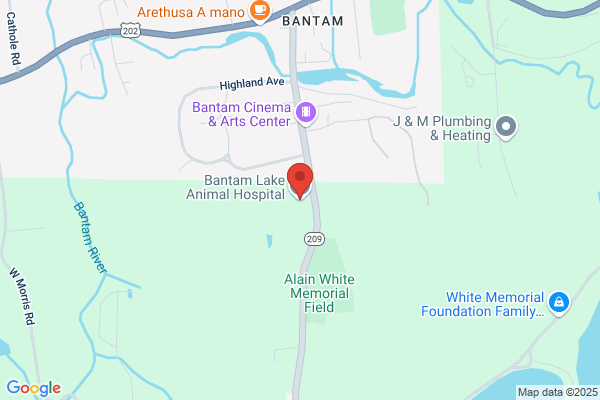 Bantam Lake Animal Hospital