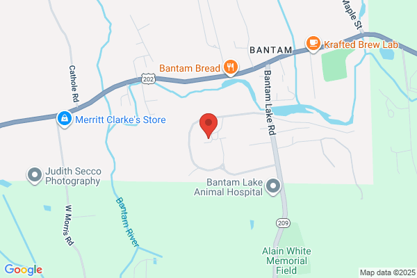 Bantam Village