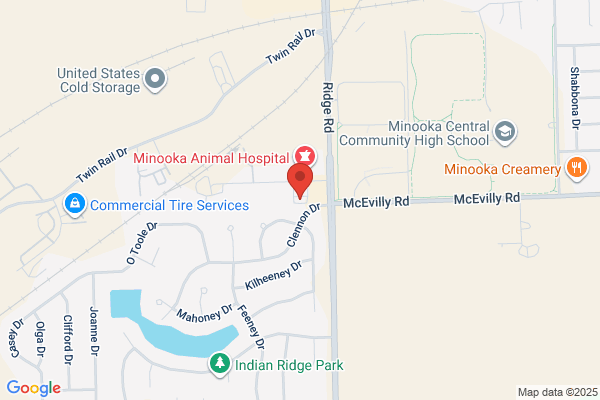 Burns Minooka-Channahon Storage