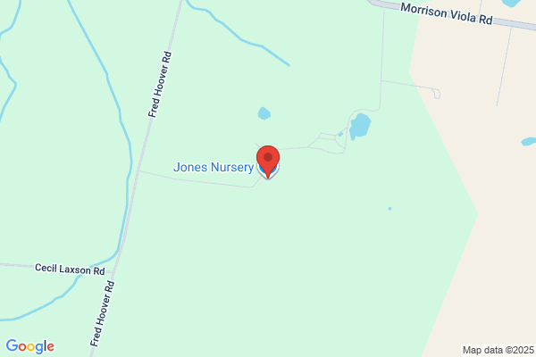 Jones Nursery Co