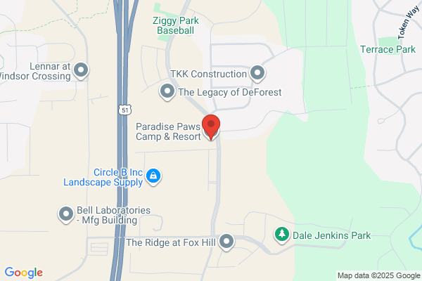 Aunt B's Pet Resort & Spa