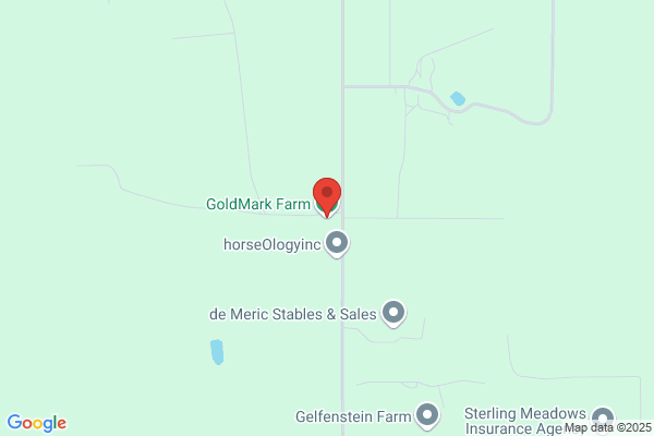 Gold Mark Llc