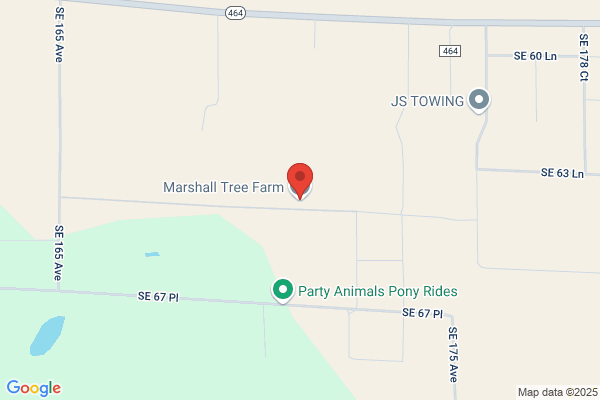 Marshall Tree Farm