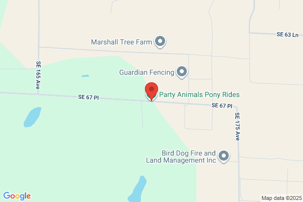 Party Animals Pony Rides