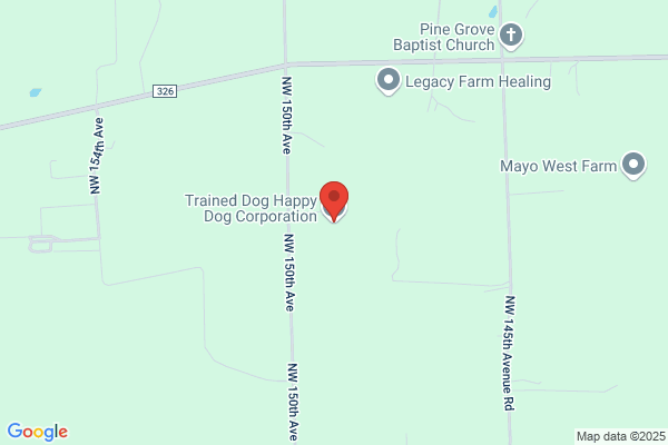 Trained Dog Happy Dog Corporation