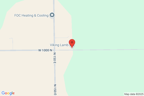 Viking Lamb LLC