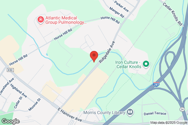 The Pediatric Orthopedic Center