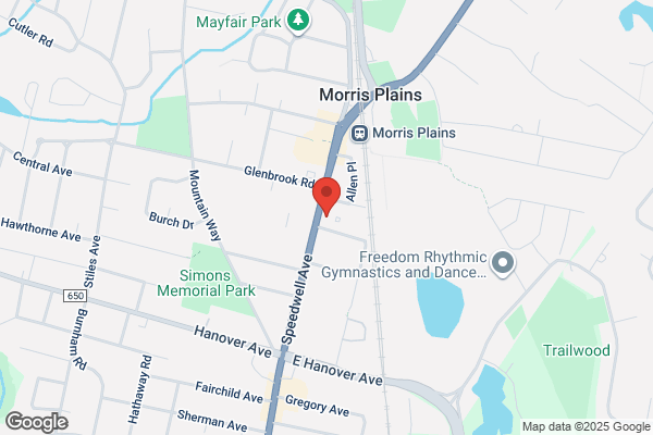 Boro of Morris Plains Police Department