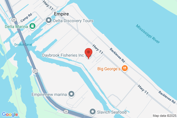 Daybrook Fisheries Inc