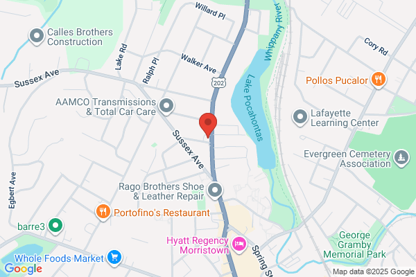 Speedwell Travel