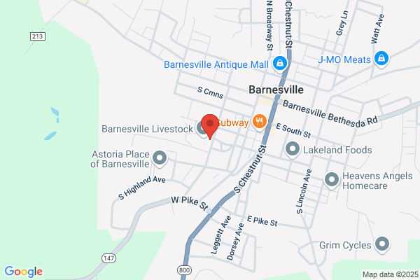 Barnesville Florist