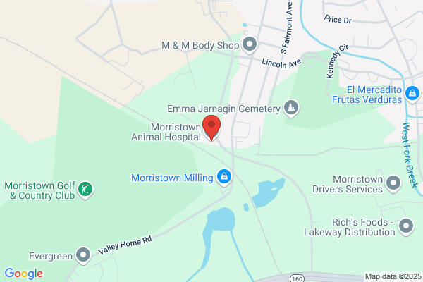 Morristown Animal Hospital