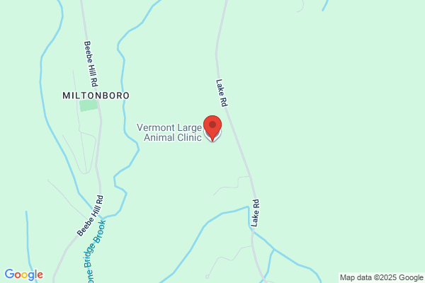 Animal Medical Hospital of Northern Vermont