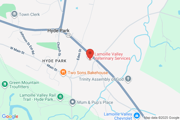 Lamoille Valley Veterinary Services