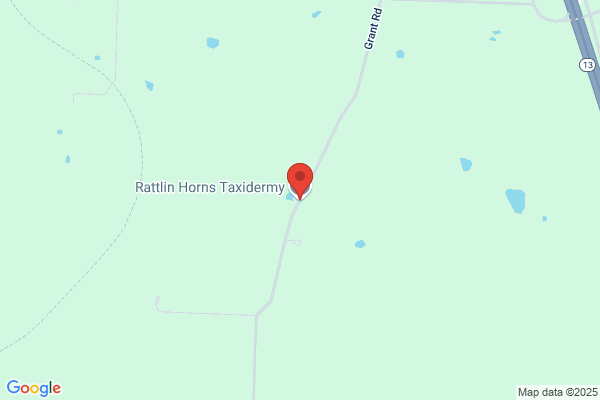 Rattlin Horns Taxidermy