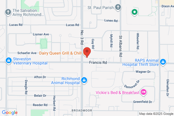 Cat Care Veterinary Clinic
