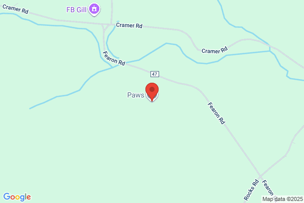 Paws Inn
