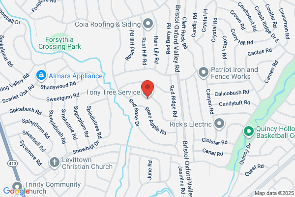 Tony Tree Service