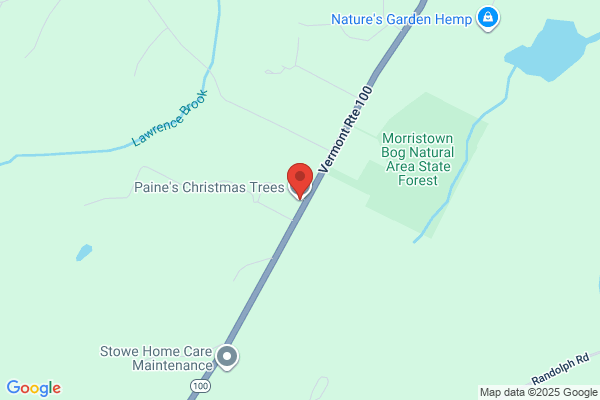Paine's Christmas Trees