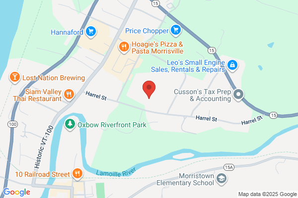 Snow Management Systems