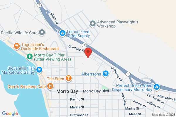 AutoZone Auto Parts