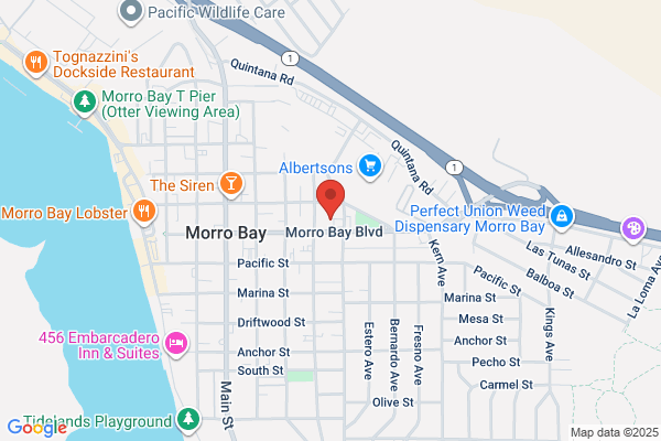 Estero Bay Graphics