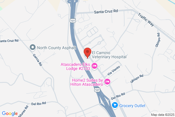 Black Mountain Pet Crematorium