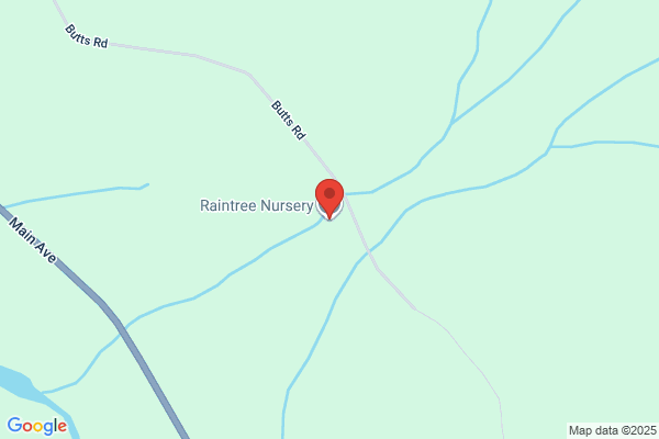Raintree Nursery