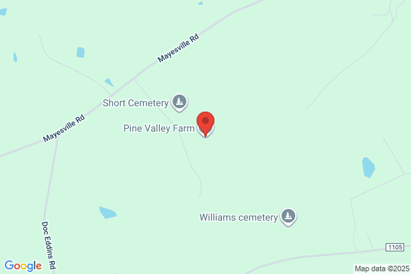 Pine Valley Farm