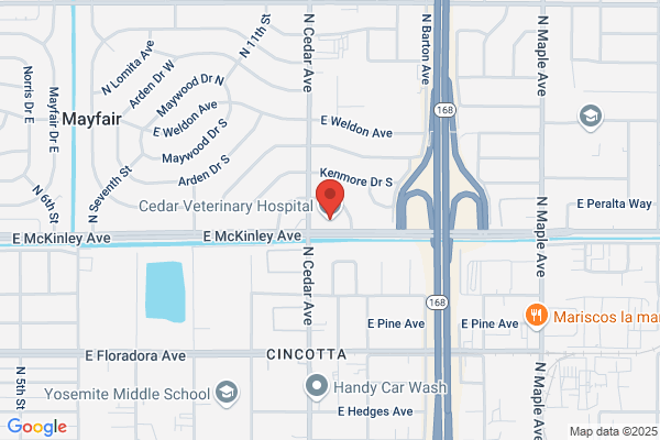 Cedar Veterinary Hospital