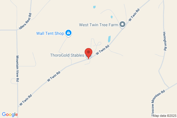 Thorogold Stables