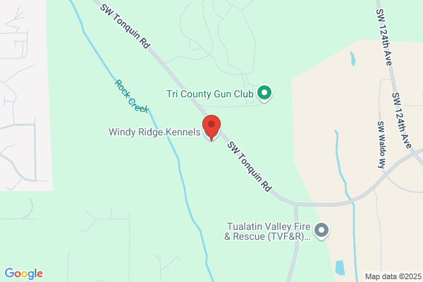 Windy Ridge Boarding Kennels