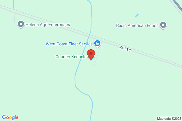 Kennel Under the Pines