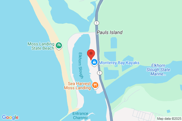 Kayak Connection