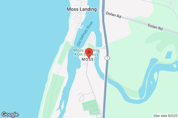 Monterey Dune Company
