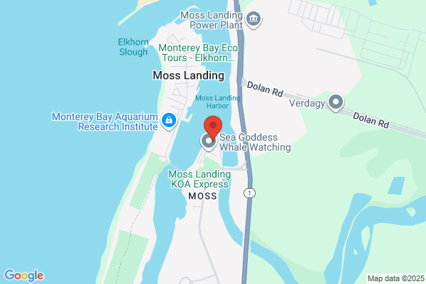 Moss Landing Harbor Administrator