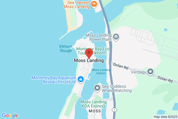 Sea Harvest Fish Market & Restaurants