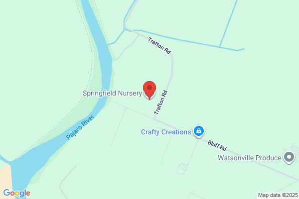 Springfield Nursery