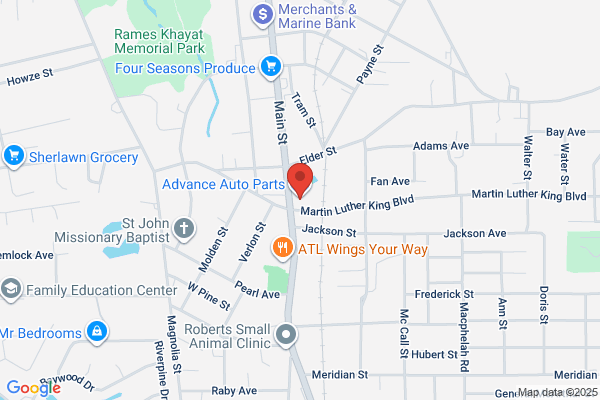 Advance Auto Parts