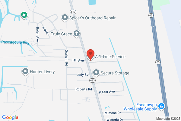 A-1 Tree Service
