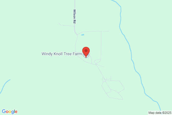 Cowlitz River Trees