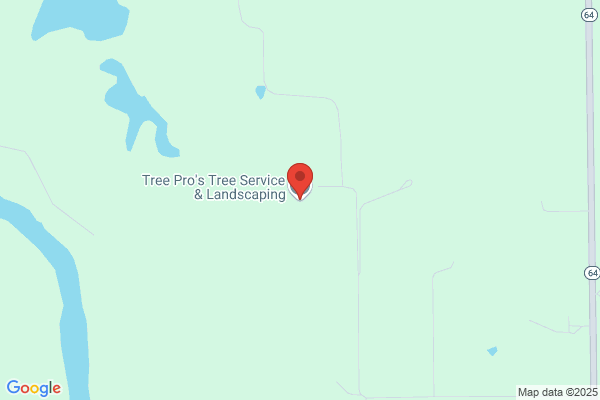 Tree Pro's Tree Service & Landscaping
