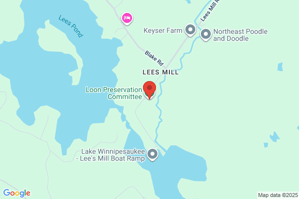 Loon Center & Gift Shop the